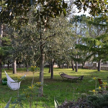 Lavanda Apartment - Villaggio Di Mary Locorotondo Dış mekan fotoğraf